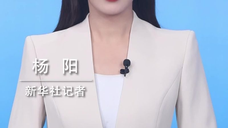 容器编排平台：揭秘参数对比与优劣解析